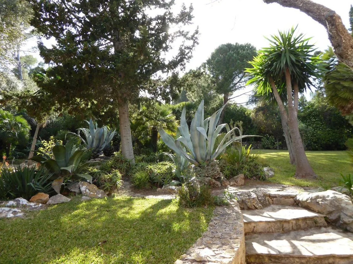 Villa Cas Quinto Cala Ratjada  Ferienhaus
