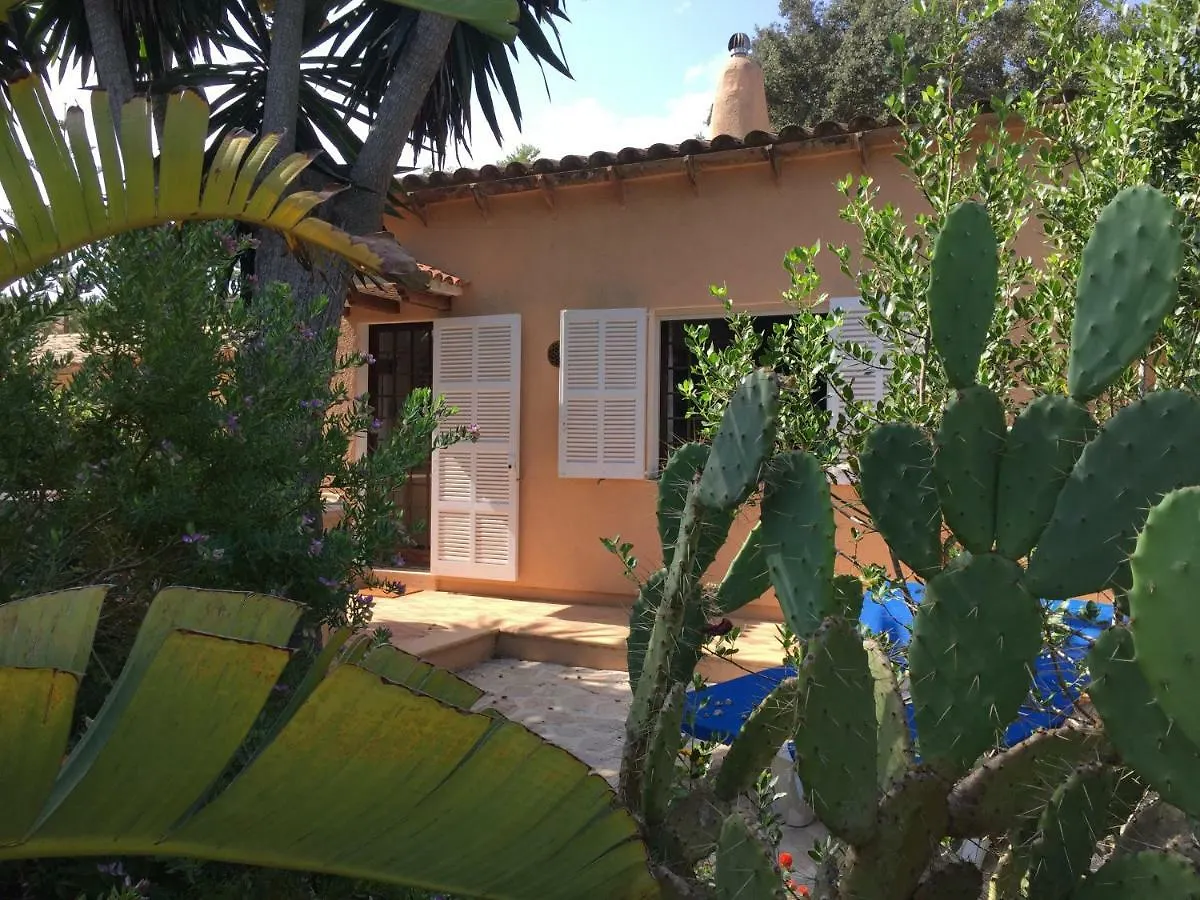 Villa Cas Quinto Cala Ratjada  Ferienhaus